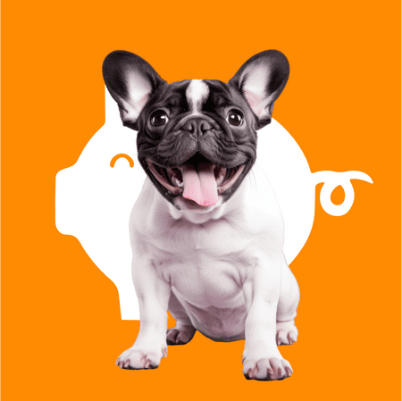Mascotas