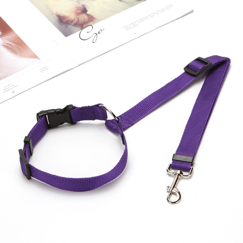 Cinturón de Seguridad para Mascotas