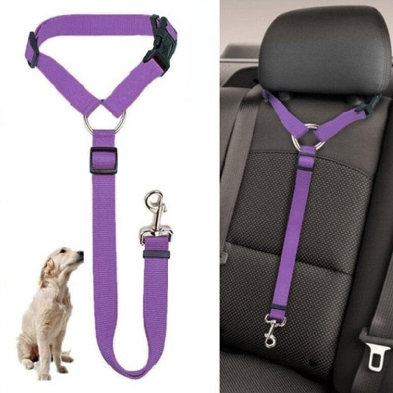 Cinturón de Seguridad para Mascotas