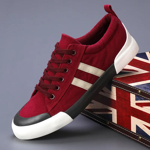 Zapatillas de Hombre Canvas