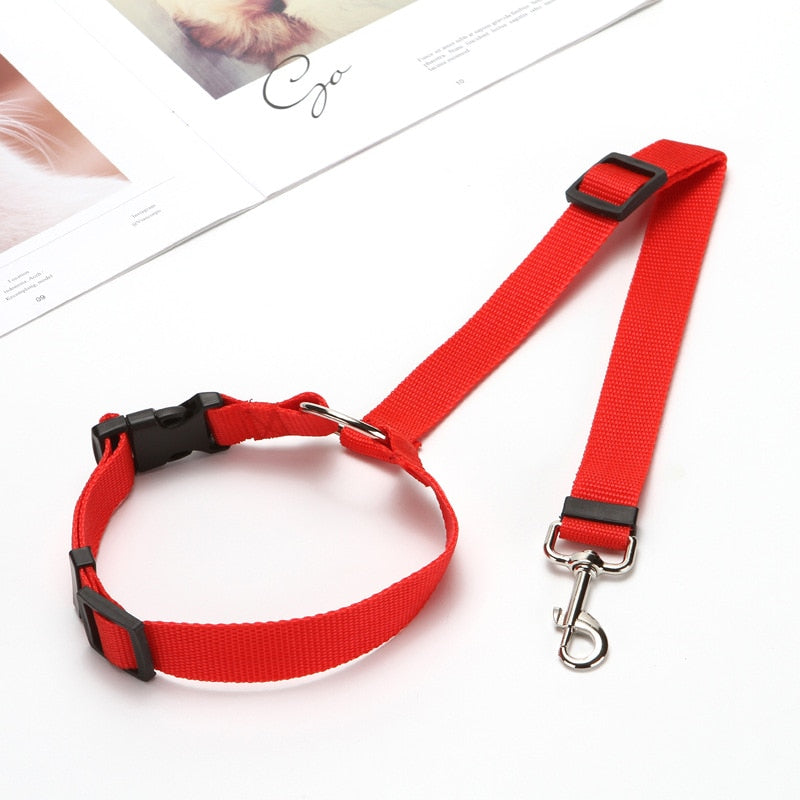 Cinturón de Seguridad para Mascotas