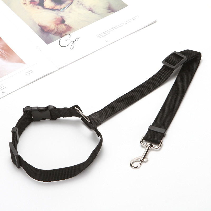 Cinturón de Seguridad para Mascotas
