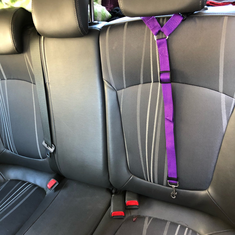 Cinturón de Seguridad para Mascotas