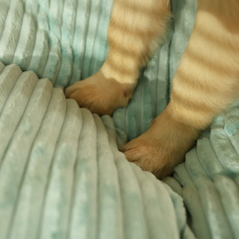 Tapete Cama Extra Suave para Perro