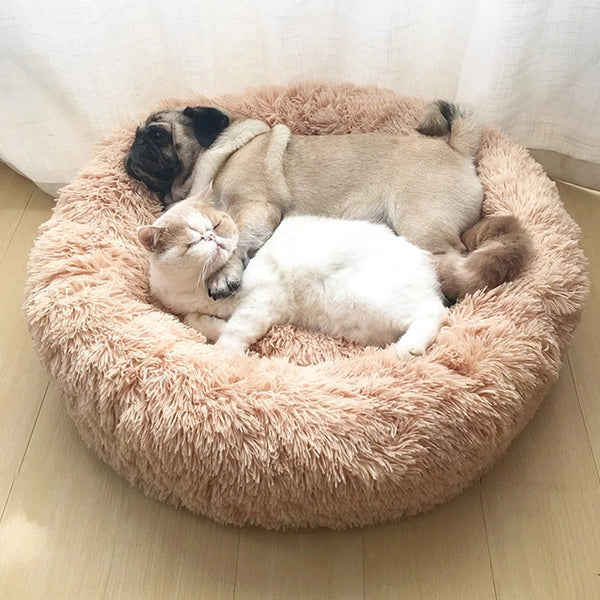 Cama de Terciopelo Nube para Mascotas